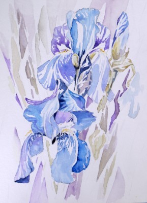 Aquarellbild dreier abstrakter  Irisblüten in Blautönen